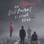 An Elephant Sitting Still